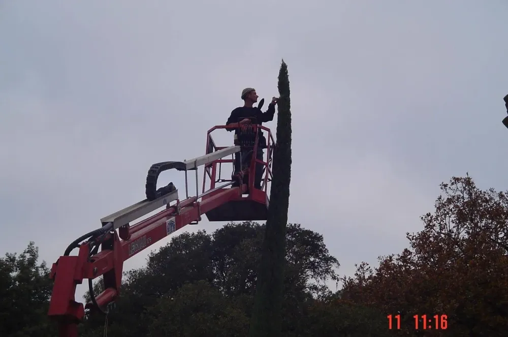 Grue
